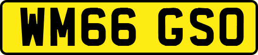 WM66GSO