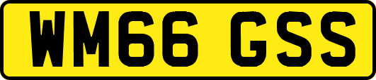 WM66GSS