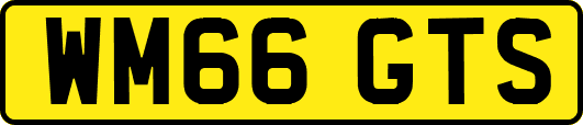 WM66GTS
