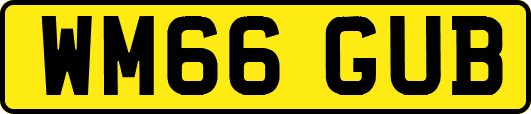 WM66GUB