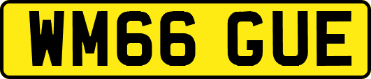 WM66GUE
