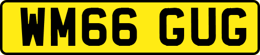 WM66GUG