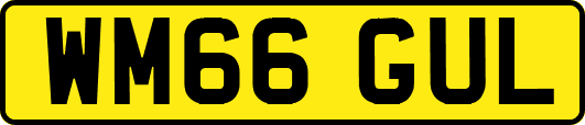 WM66GUL