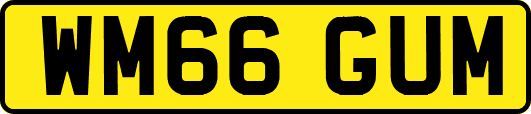 WM66GUM
