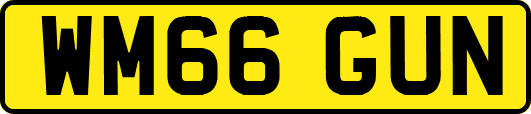 WM66GUN