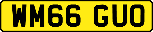 WM66GUO