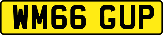 WM66GUP