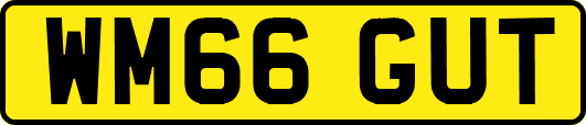 WM66GUT