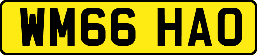 WM66HAO