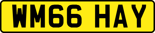 WM66HAY