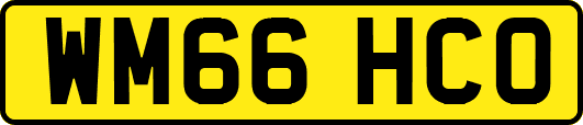 WM66HCO