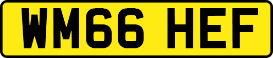 WM66HEF