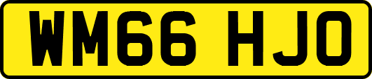 WM66HJO