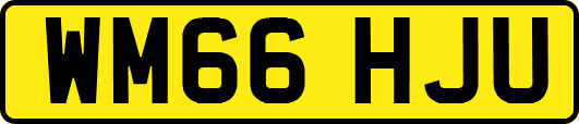 WM66HJU
