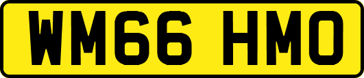 WM66HMO