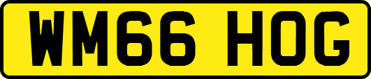 WM66HOG