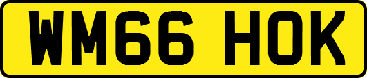 WM66HOK