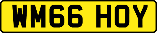 WM66HOY