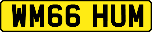 WM66HUM