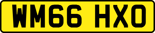 WM66HXO