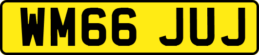 WM66JUJ