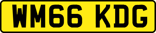 WM66KDG