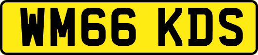 WM66KDS