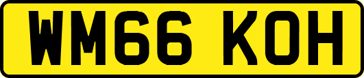 WM66KOH