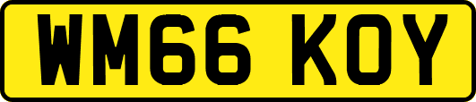 WM66KOY
