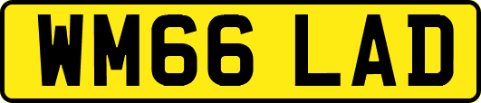 WM66LAD