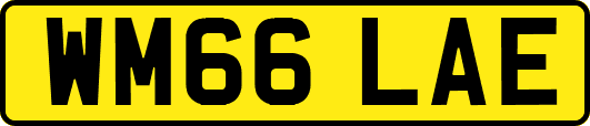 WM66LAE