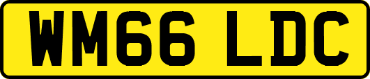 WM66LDC