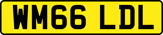 WM66LDL