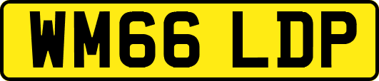 WM66LDP