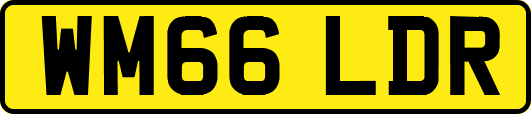 WM66LDR