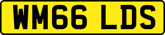 WM66LDS