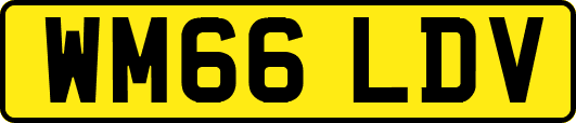 WM66LDV