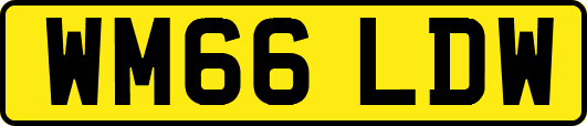 WM66LDW