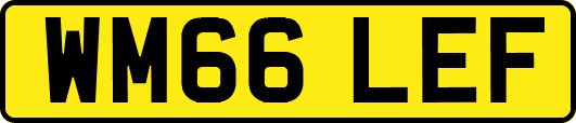 WM66LEF