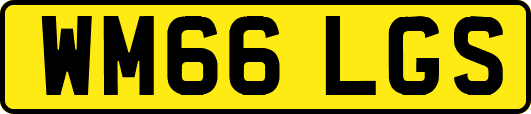 WM66LGS