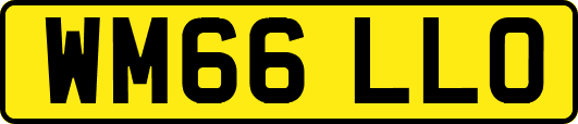 WM66LLO