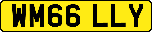 WM66LLY
