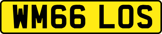 WM66LOS