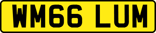 WM66LUM