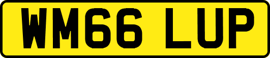WM66LUP
