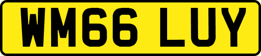 WM66LUY