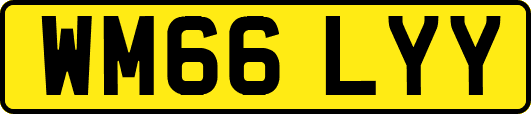 WM66LYY