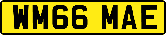 WM66MAE