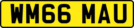WM66MAU
