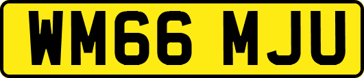 WM66MJU